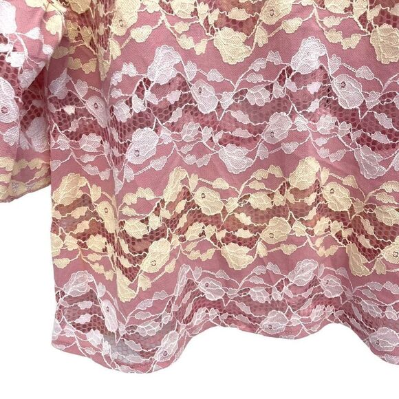 Zara Crew Neck Lace Top - Picture 5 of 5